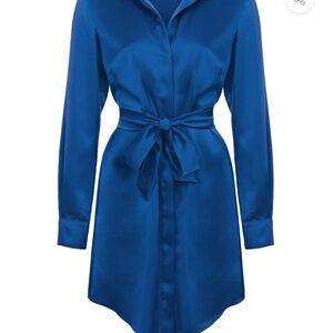 Elegant Silk L/S Shirt Dress